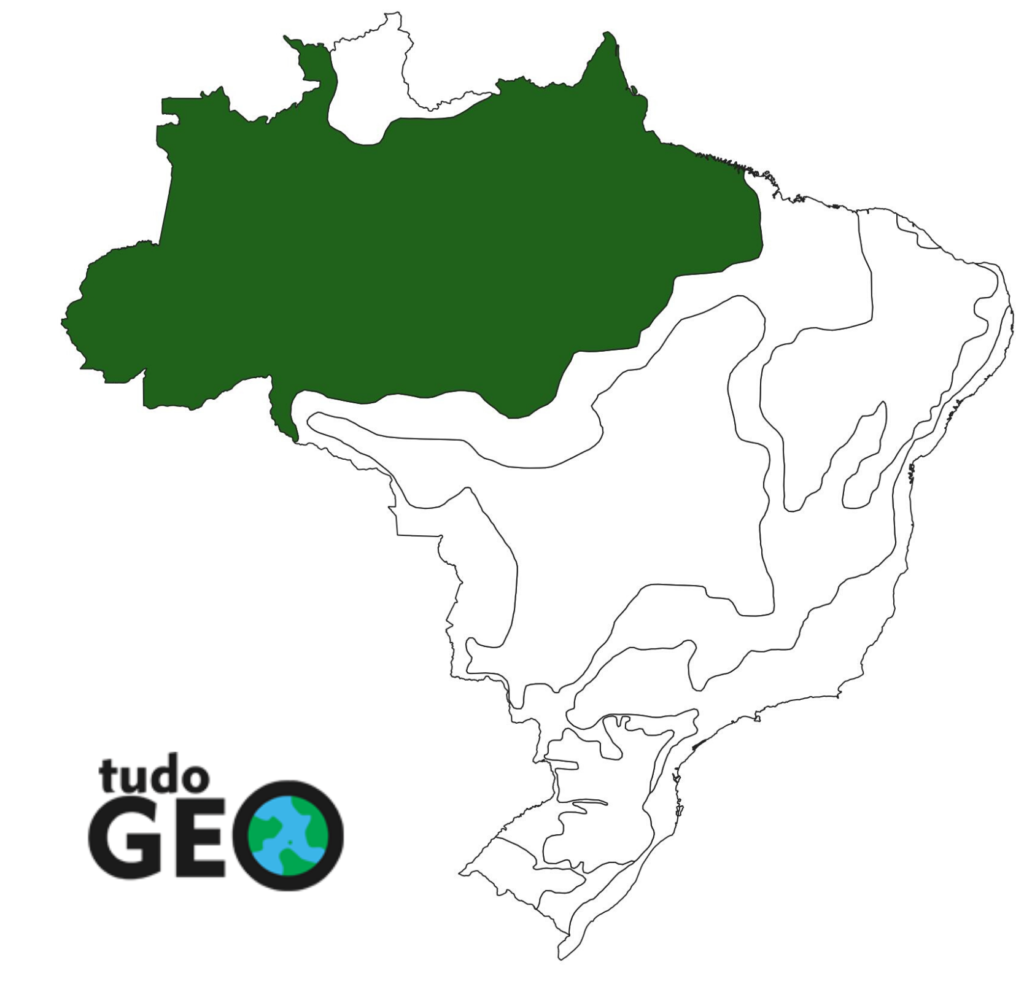 O que é o domínio amazônico?