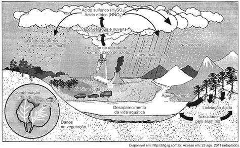 Questão de Geografia - Fuvest 2020 - Relação entre vegetação e altitude -  TudoGeo